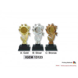 IGEM 13123 Trophy